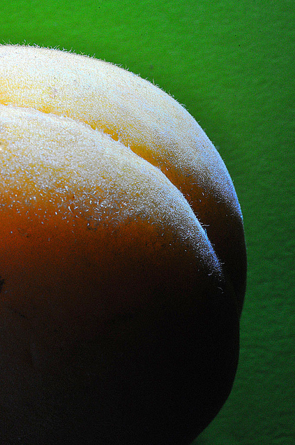 5011083063_e4681a7a25_z