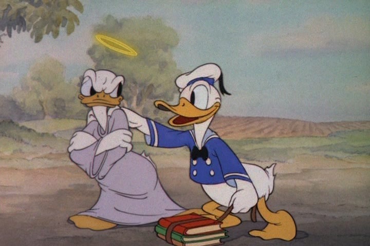 http://disney.wikia.com/wiki/File:Donald-Duck-Donald-s-Better-Self-donald-duck-9608529-720-480.jpg