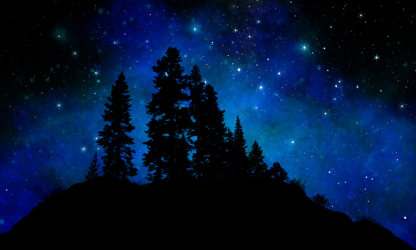 Sierra Foothills Glow In The Dark Canvas