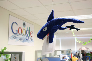 google shark