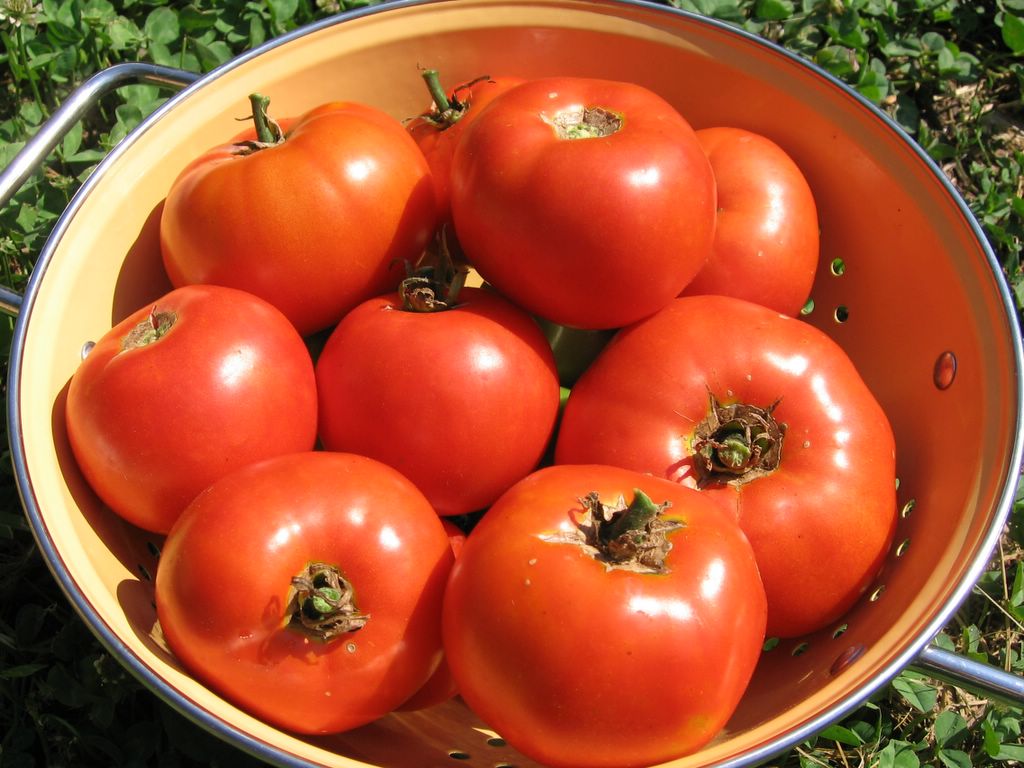 http://inmykitchengarden.blogspot.com/2006/09/another-less-fuss-more-flavor.html