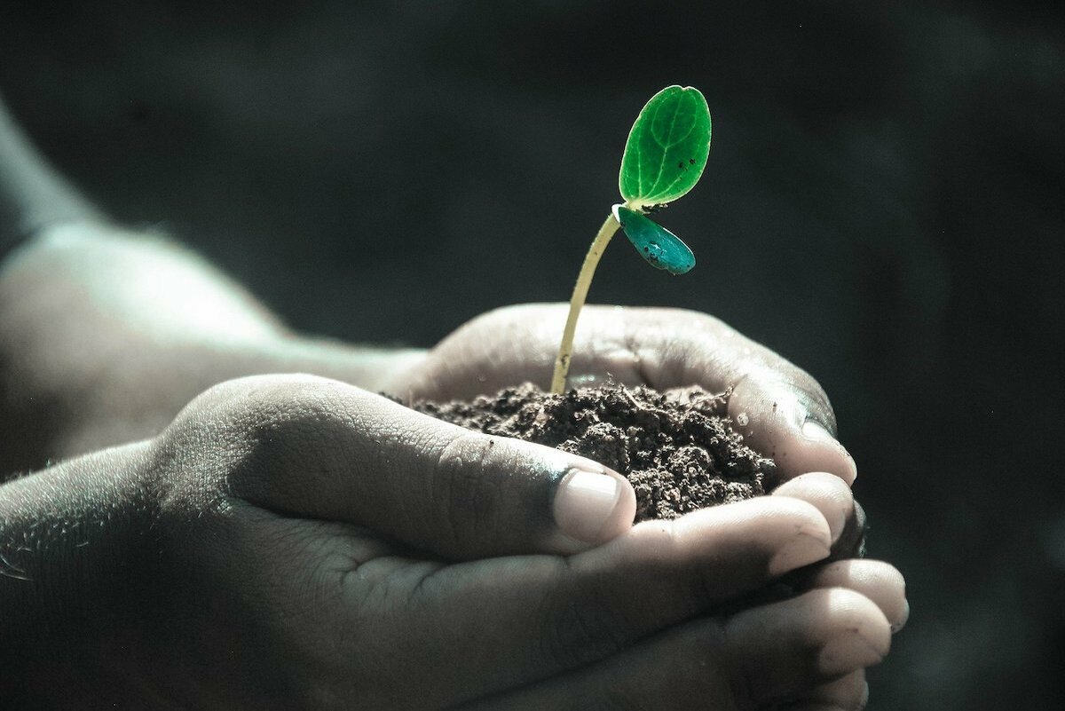 How To Give Your Life More Value