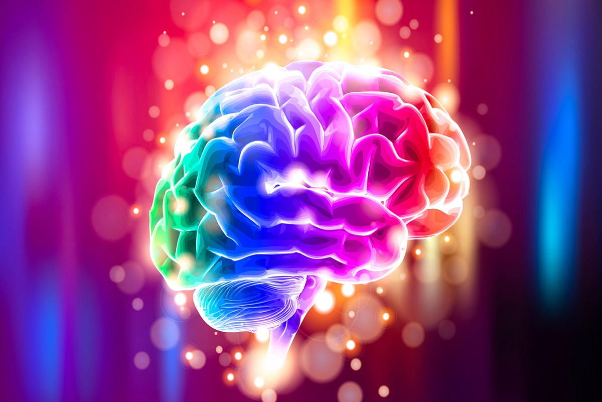 what does the brainstem do