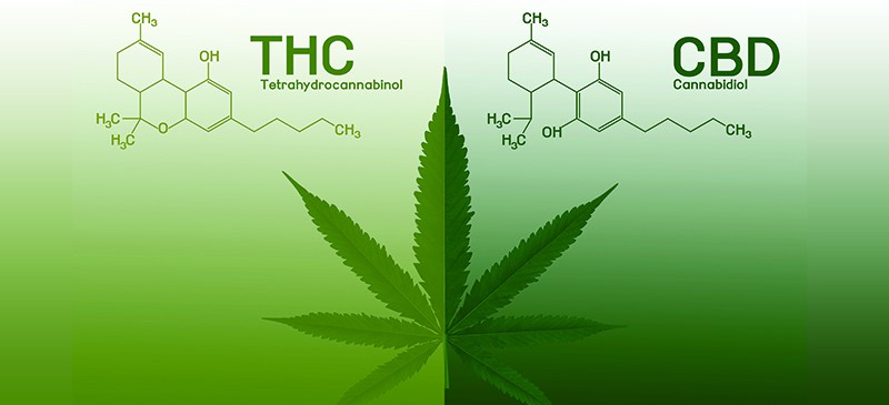 THC