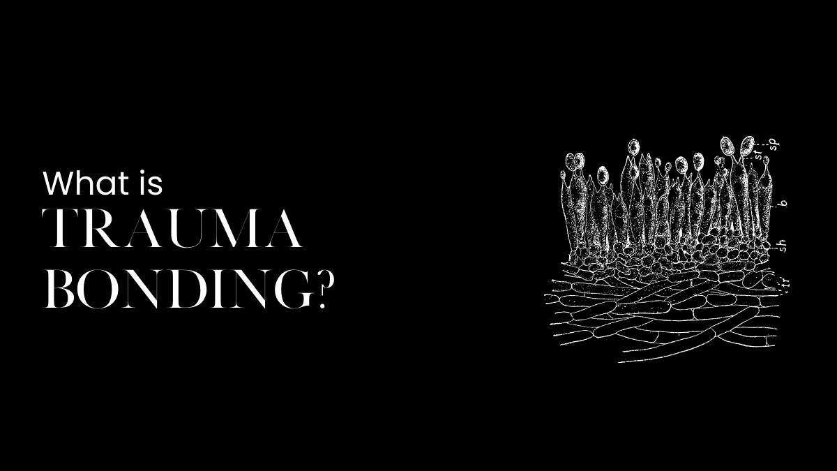  Trauma Bonding Test