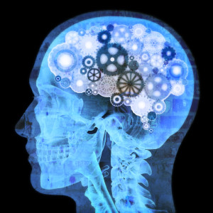 brain-working-2ndskiesforex
