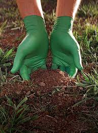 green-dex gloves