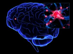 neurons51