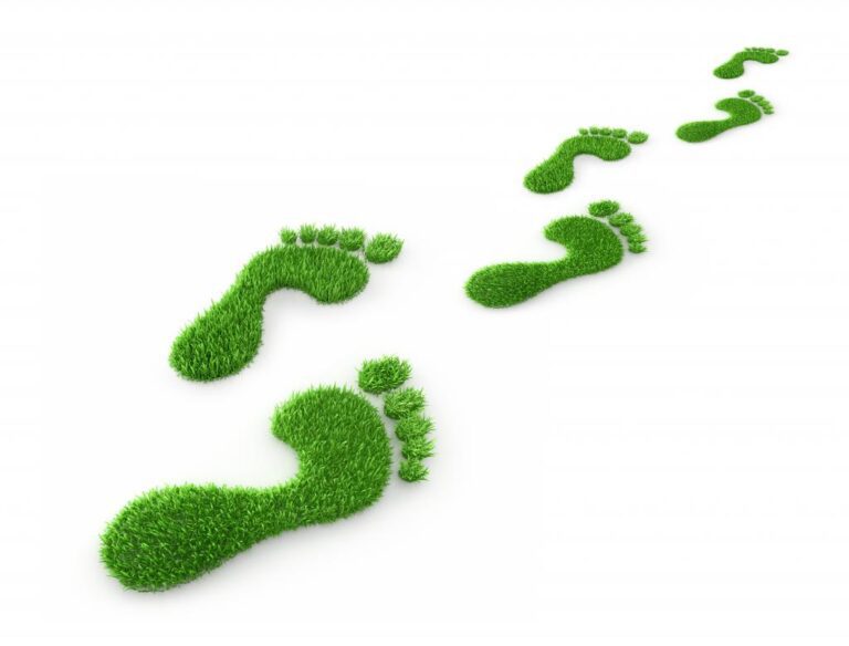 Simple Ways To Decrease Tour Ecological Footprint