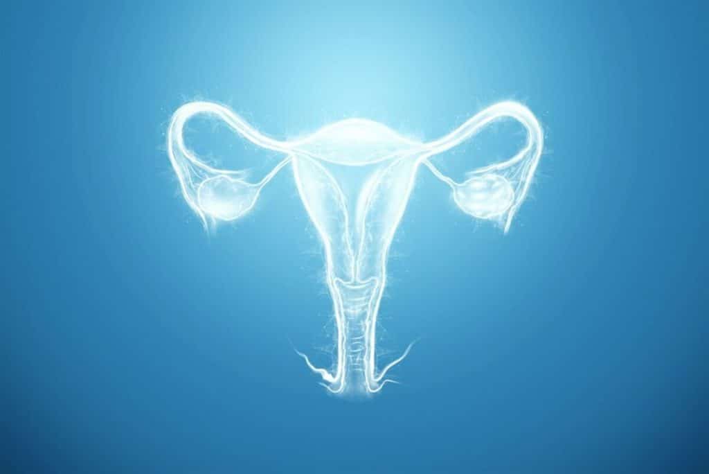 What Is The Difference Between Replication And Reproduction? All You Need To Know LoneMind