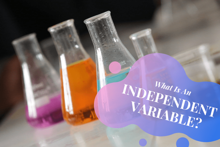 What is an independent variable in an experiment?