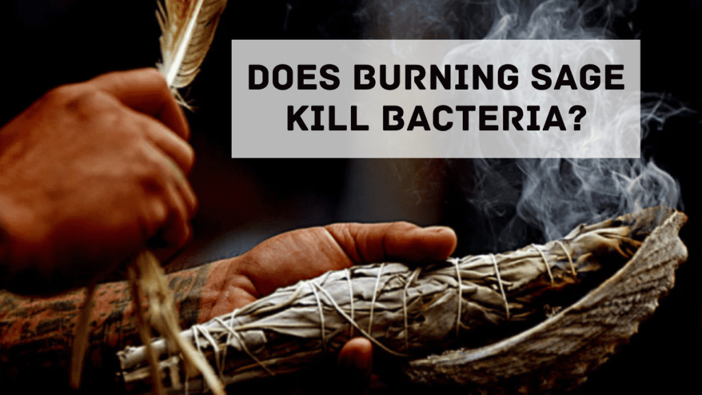 Does Burning Sage Kill Bacteria? Unraveling The Ancient Practice Of