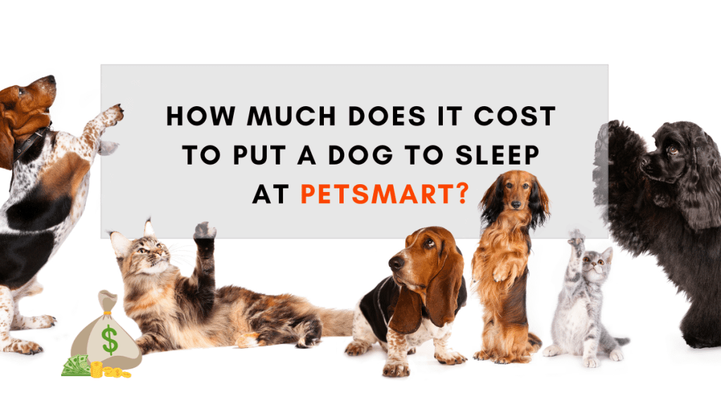 Exploring Your Options How Much Does It Cost To Put A Dog To Sleep At